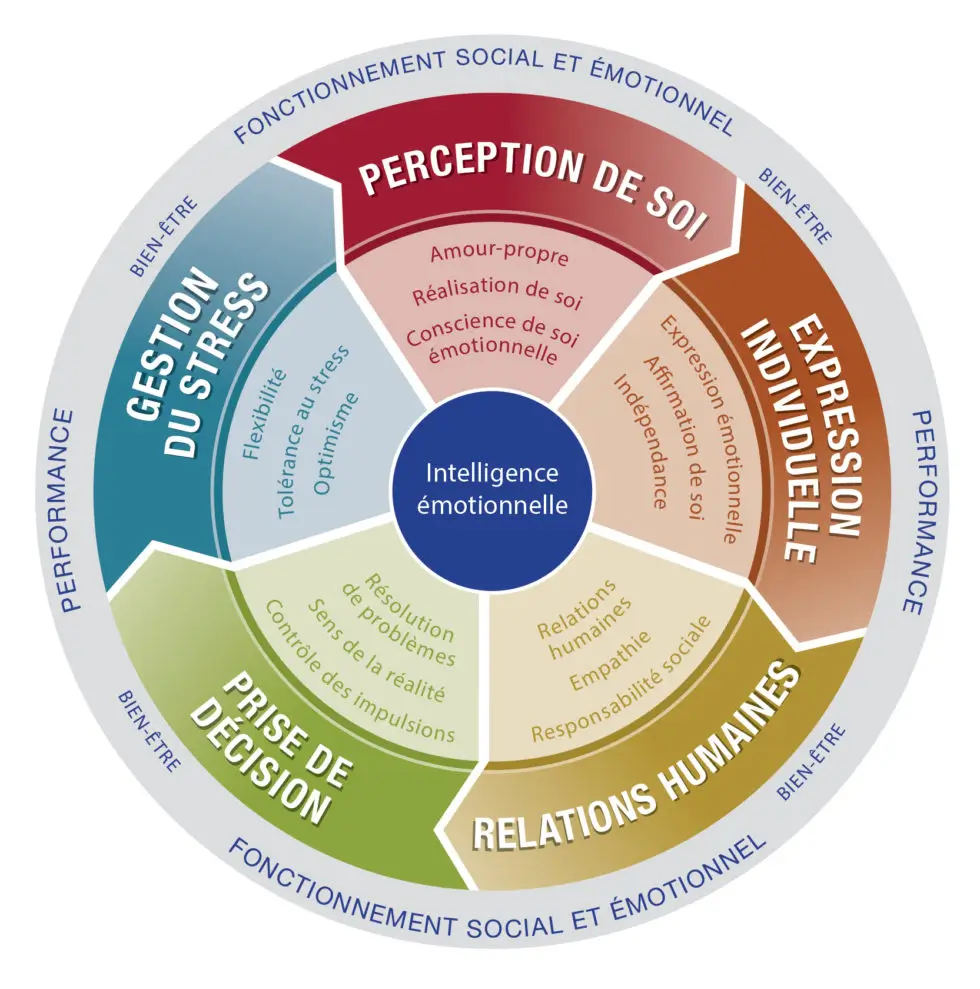 Intelligence émotionnelle, 6 compétences: Perception de soi, Expression individuelle, Relations humaines, Prise de décision, Gestion du stress, Intelligence émotionnelle